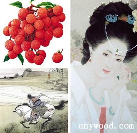 批木网 anywood.com