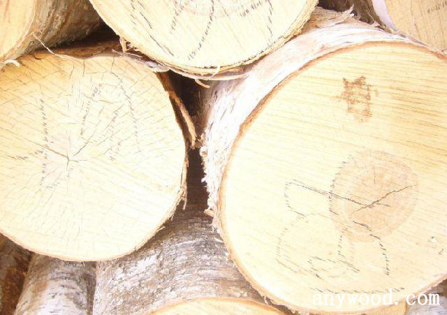 批木网 anywood.com