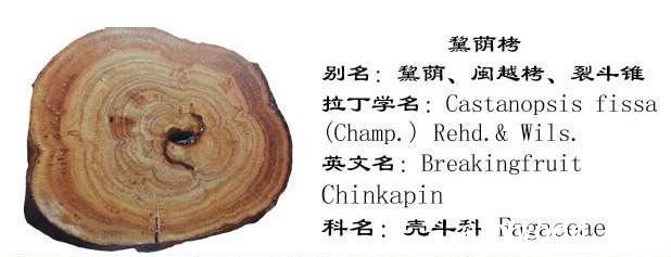 批木网 anywood.com