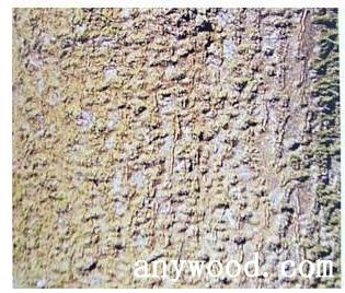 批木网 anywood.com