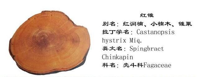 批木网 anywood.com