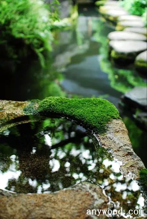 批木网 anywood.com