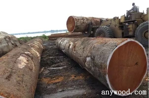 批木网 anywood.com