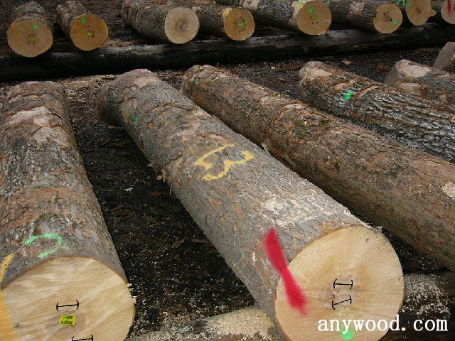 批木网 anywood.com