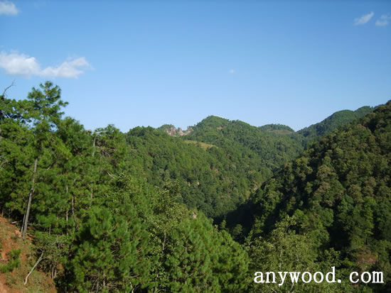 批木网 anywood.com