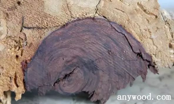 批木网 anywood.com