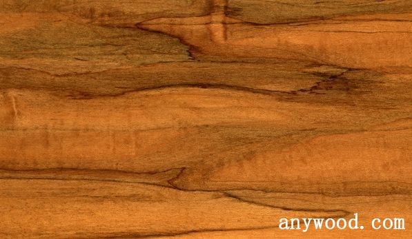 批木网 anywood.com