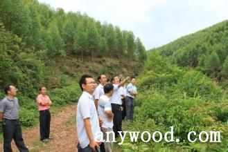 批木网 anywood.com