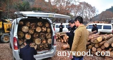 批木网 anywood.com