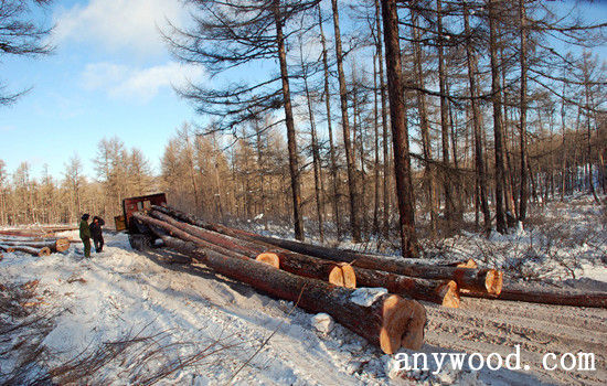 批木网 anywood.com