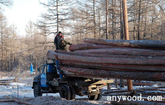批木网 anywood.com