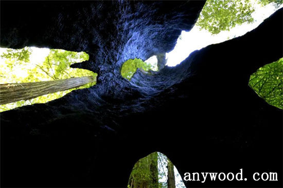 批木网 anywood.com