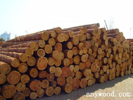 批木网 anywood.com