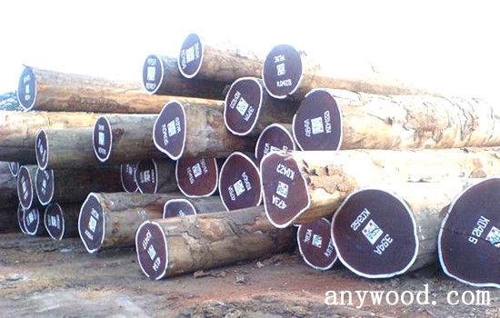 批木网 anywood.com