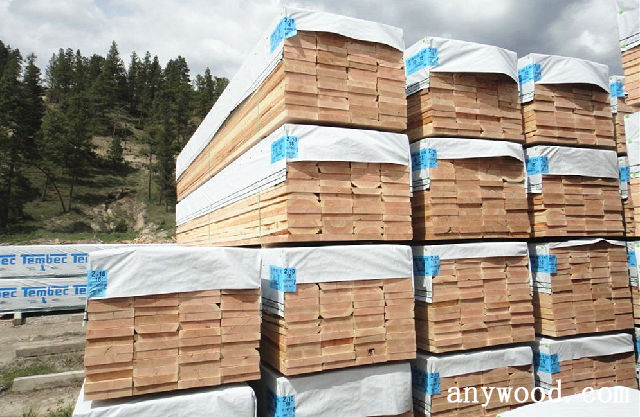 批木网 anywood.com