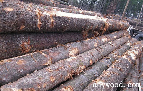 批木网 anywood.com