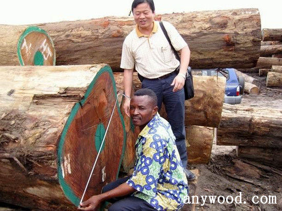 批木网 anywood.com