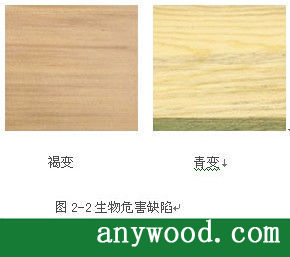 批木网 anywood.com