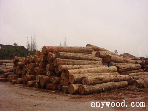 批木网 anywood.com