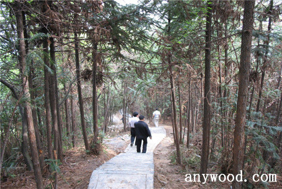 批木网 anywood.com