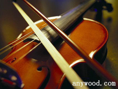 批木网 anywood.com