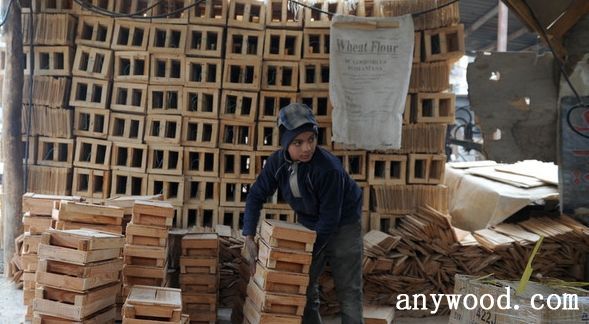 批木网 anywood.com