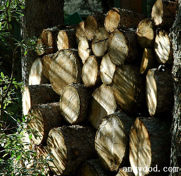 批木网 anywood.com