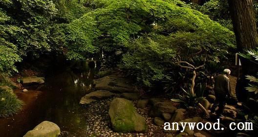 批木网 anywood.com