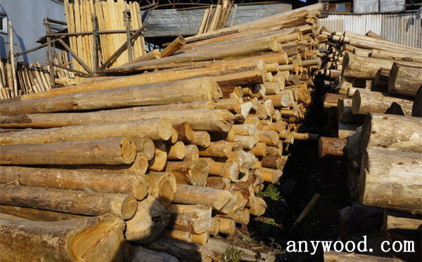 批木网 anywood.com