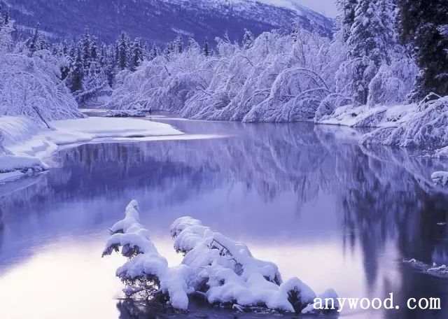 批木网 anywood.com