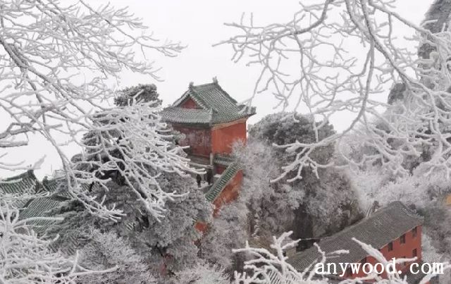批木网 anywood.com