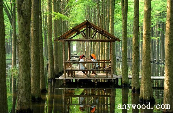 批木网 anywood.com