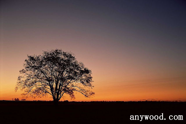 批木网 anywood.com