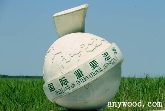 批木网 anywood.com