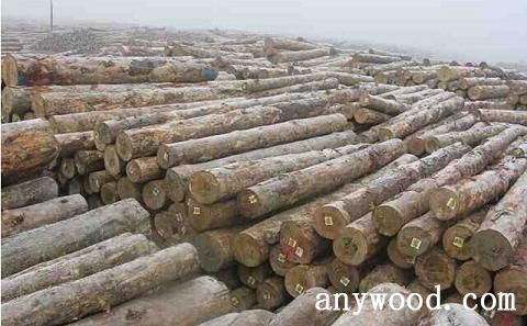 批木网 anywood.com