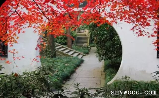 批木网 anywood.com