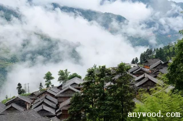 批木网 anywood.com