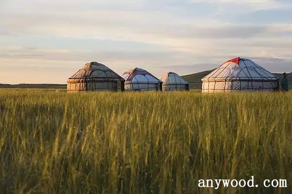 批木网 anywood.com