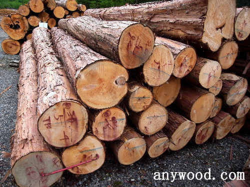 批木网 anywood.com