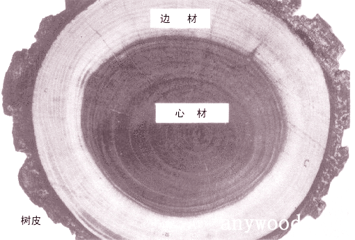 批木网 anywood.com