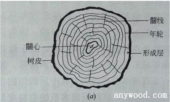 批木网 anywood.com