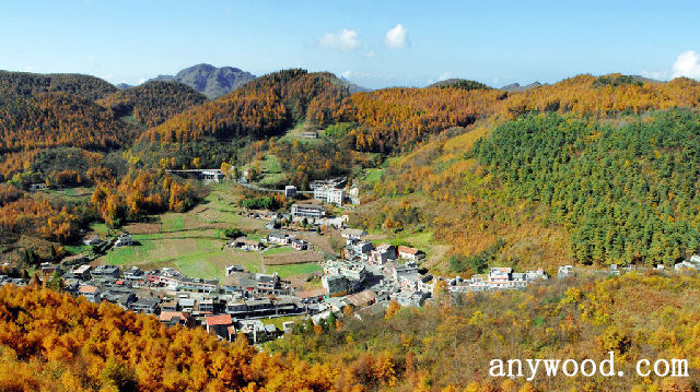 批木网 anywood.com