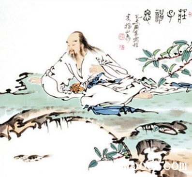 批木网 anywood.com