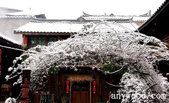 雪景