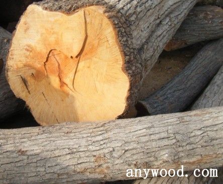 批木网 anywood.com