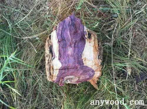 批木网 anywood.com