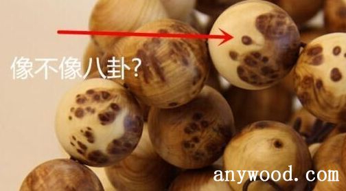 批木网 anywood.com