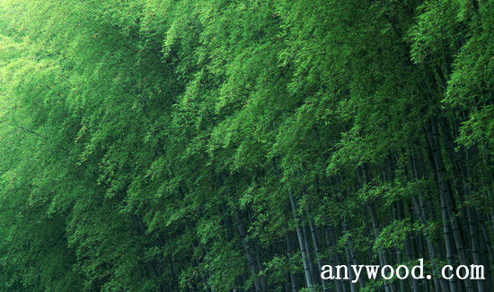 批木网 anywood.com