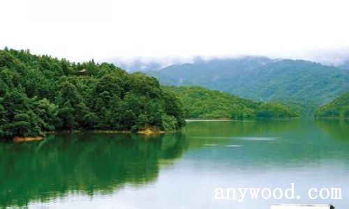 批木网 anywood.com