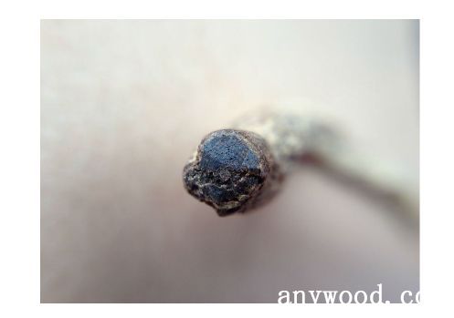 批木网 anywood.com